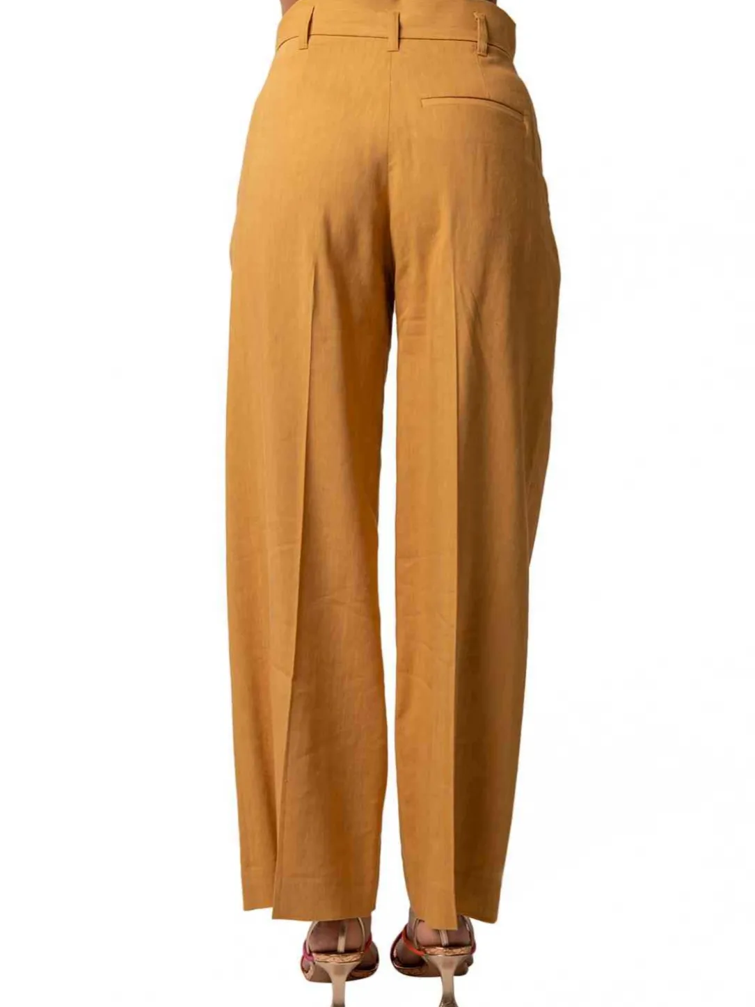 bulldog_arancio_2.webp BULLDOG ARANCIO